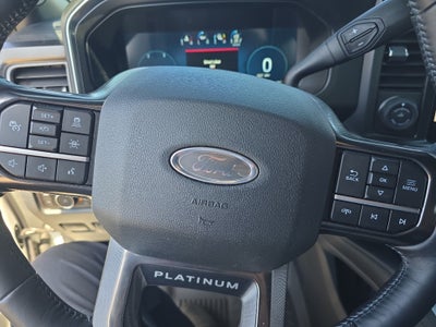 2025 Ford F-250 Super Duty Platinum